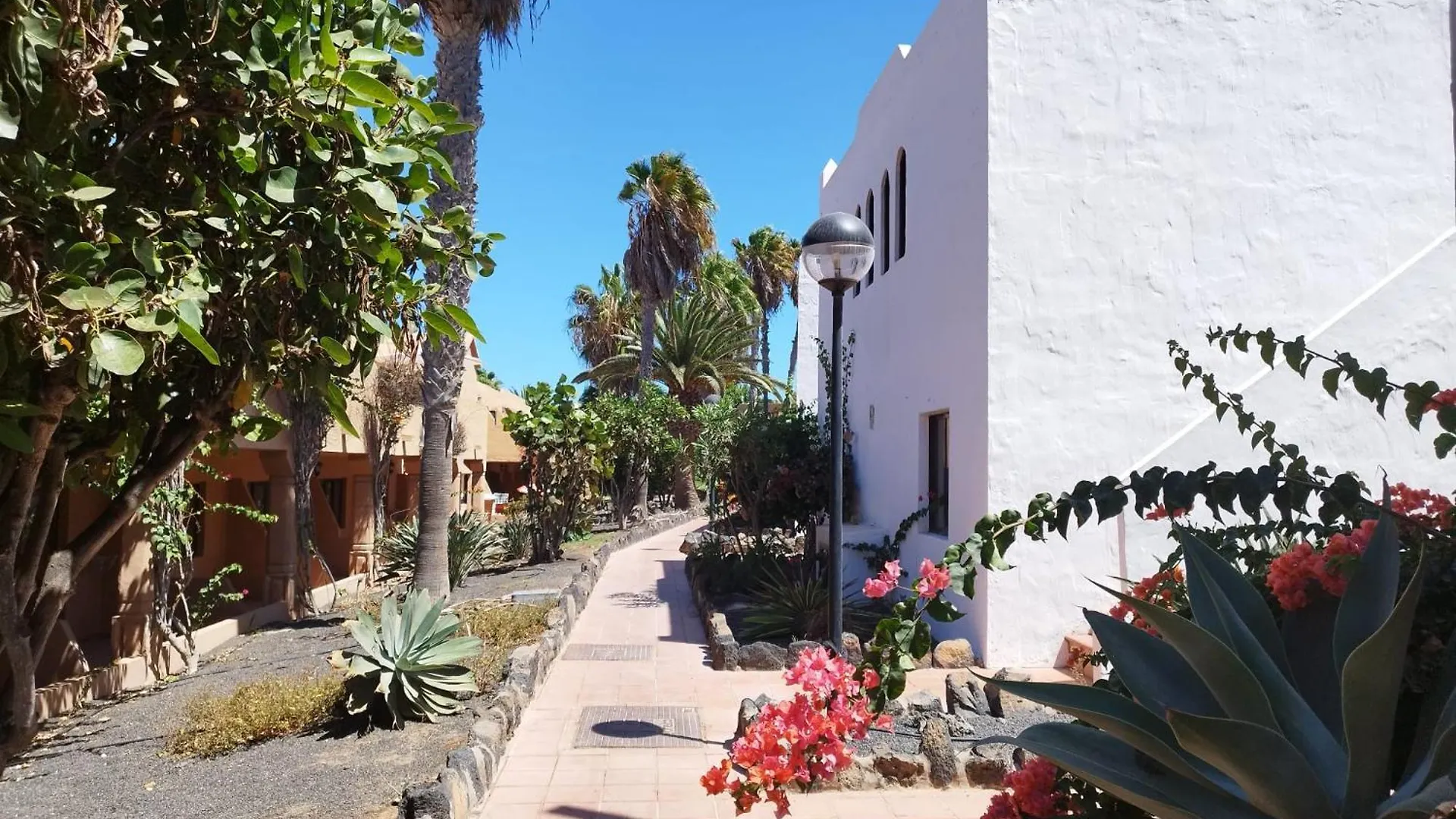 Casa Mariposa Appartement Corralejo Spanje